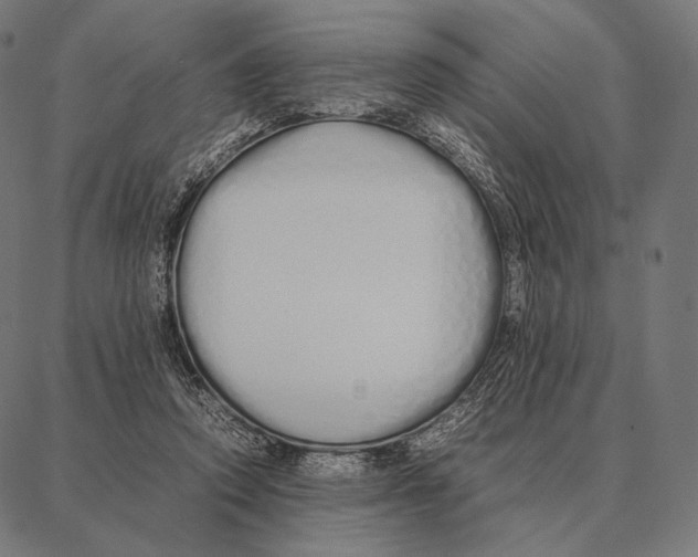 X0000087360354200705181157