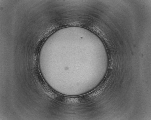 X0000087360355200705181157