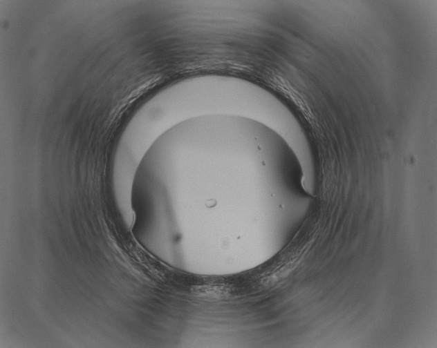 X0000087360356200705181157