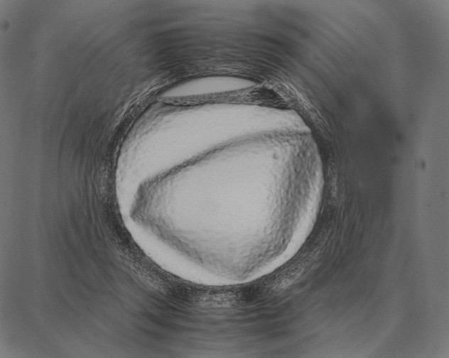 X0000087360357200705181157