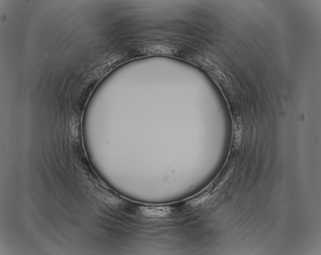 X0000087360359200705181157