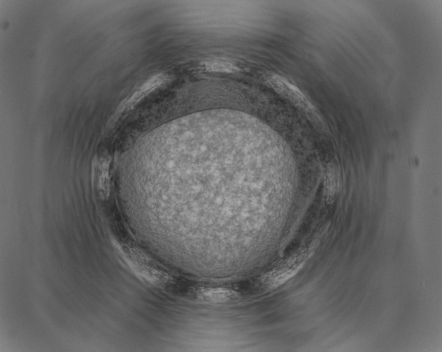 X0000087360360200705181157