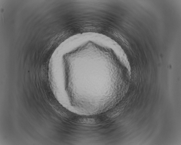 X0000087360361200705181157