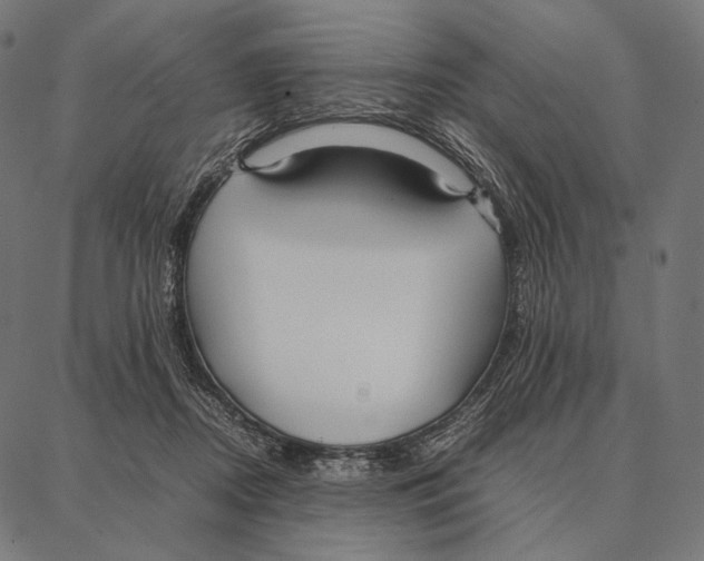 X0000087360362200705181157