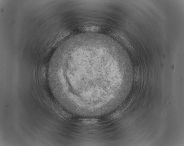 X0000087360363200705181157