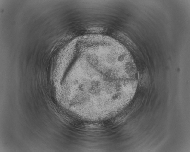 X0000087360365200705181157