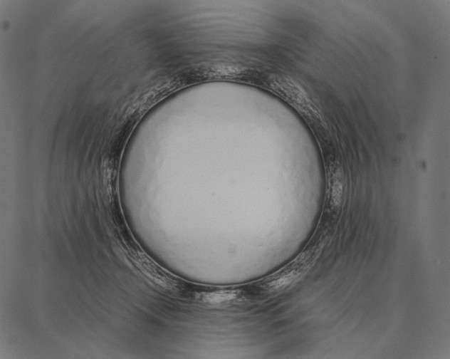 X0000087360366200705181157