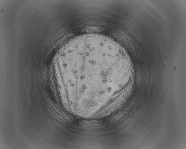 X0000087360367200705181157