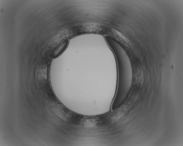 X0000087360368200705181157