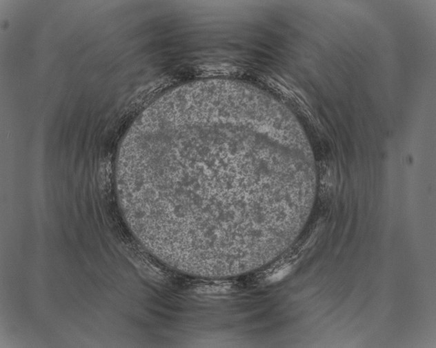 X0000087360369200705181157