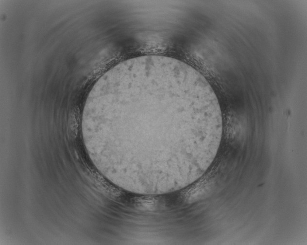 X0000087360370200705181157