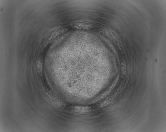 X0000087360371200705181157