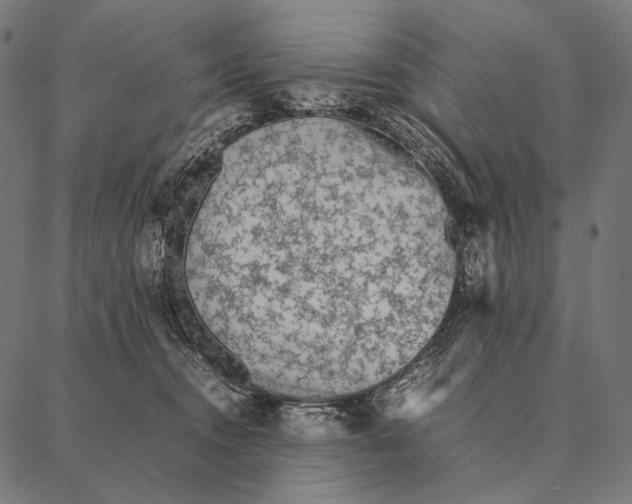 X0000087360372200705181157