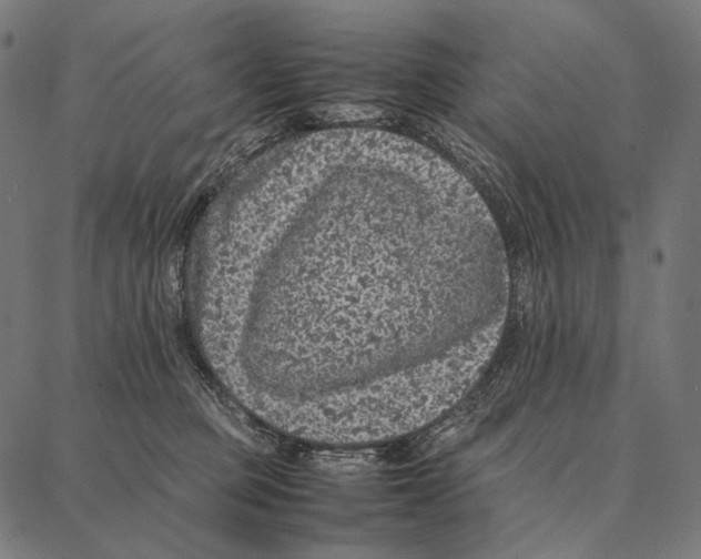 X0000087360373200705181157