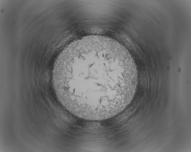 X0000087360374200705181157