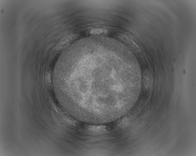 X0000087360375200705181157