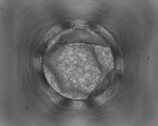 X0000087360376200705181157