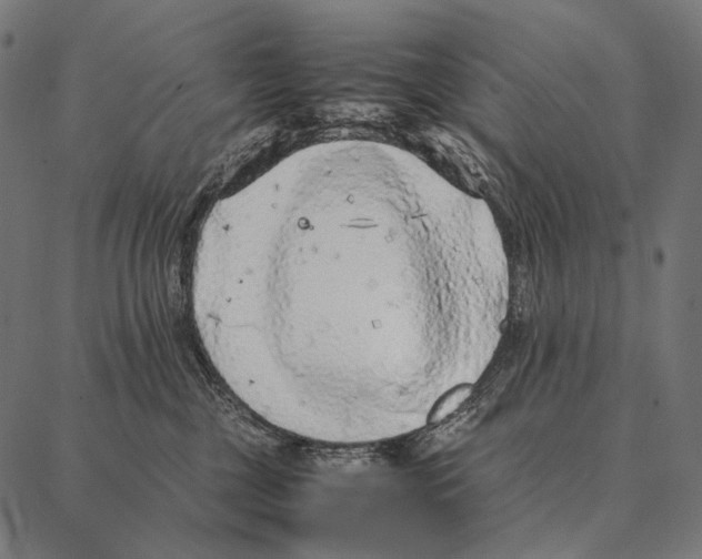 X0000087360377200705181157