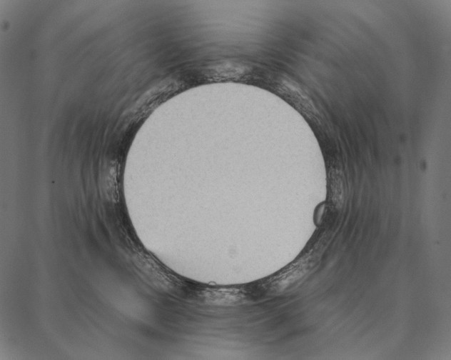 X0000087360378200705181157