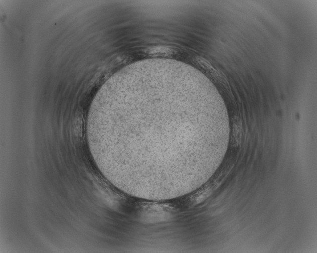 X0000087360379200705181157