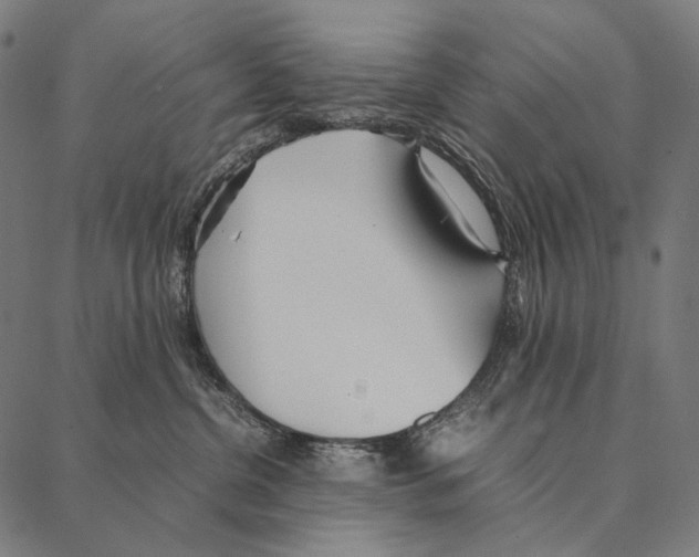 X0000087360380200705181157