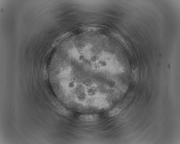 X0000087360381200705181157