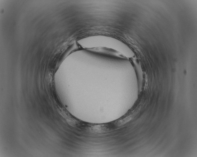 X0000087360382200705181157