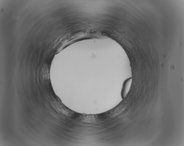 X0000087360384200705181158