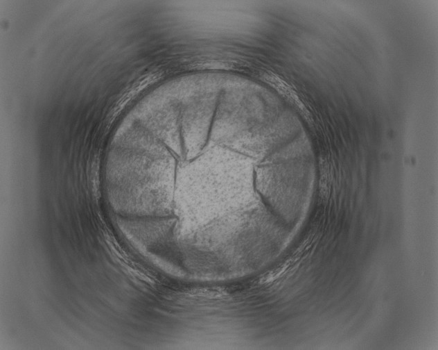 X0000087360386200705181157