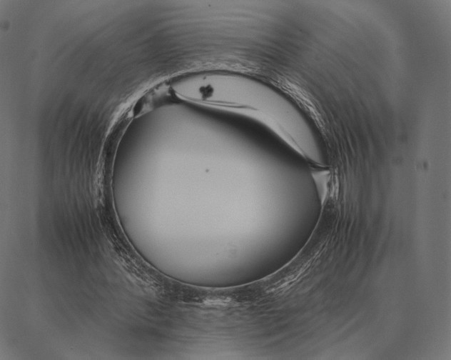 X0000087360388200705181157