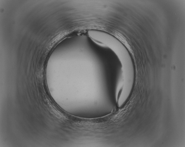 X0000087360389200705181157