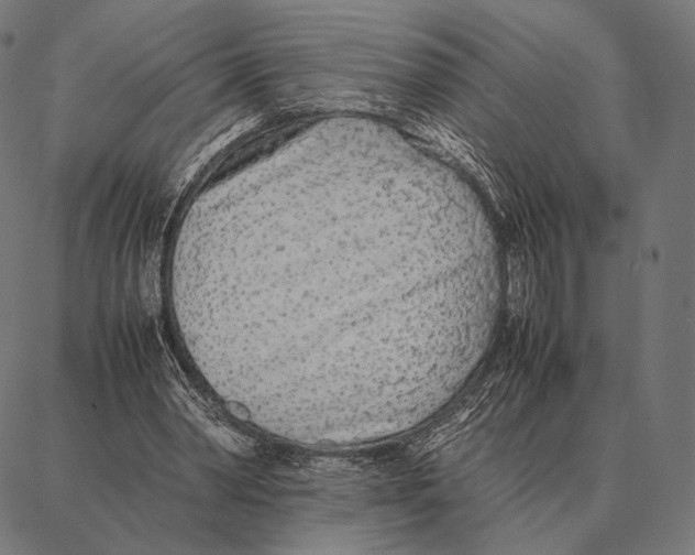 X0000087360390200705181157