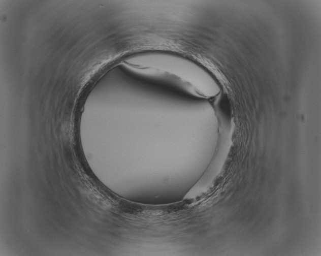 X0000087360391200705181157