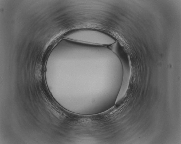 X0000087360392200705181157