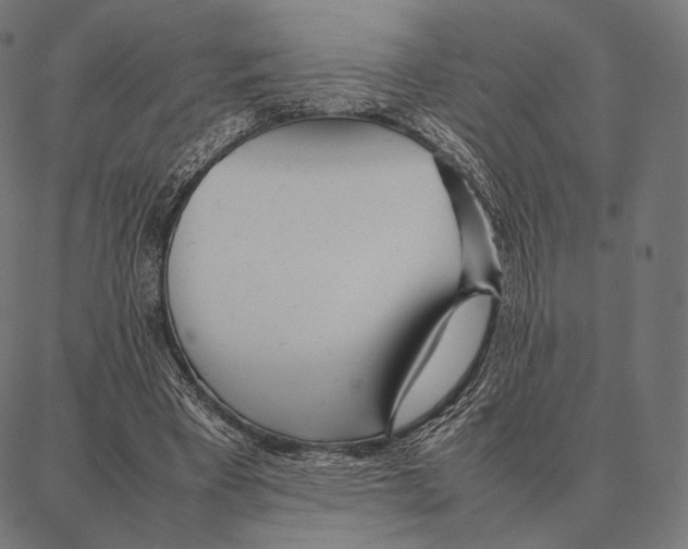 X0000087360393200705181157