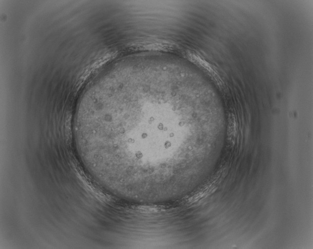 X0000087360394200705181157