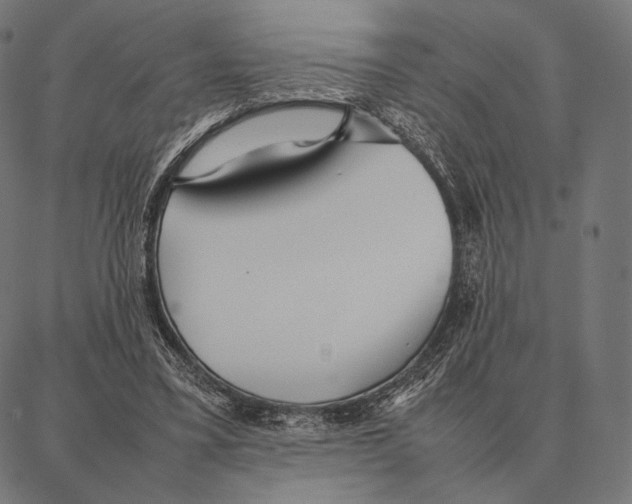 X0000087360395200705181157