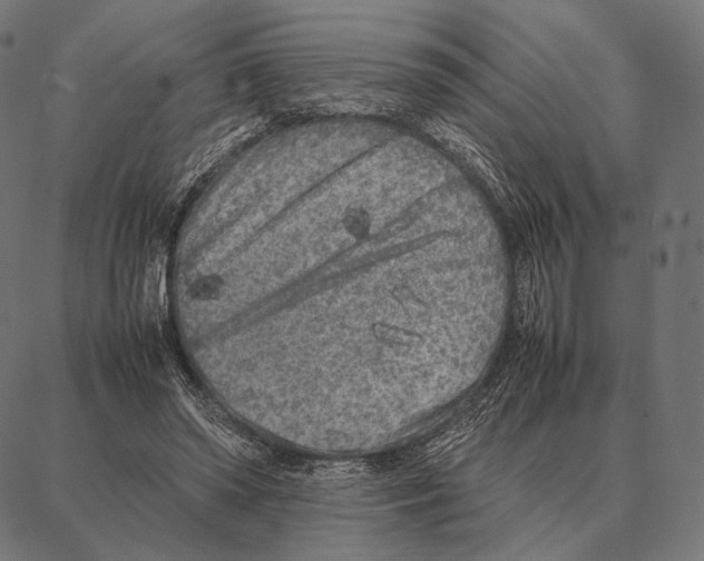 X0000087360398200705181157