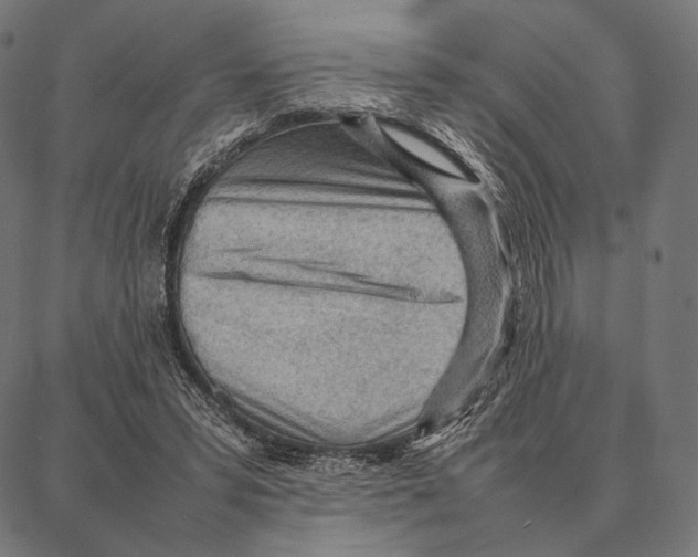 X0000087360399200705181157