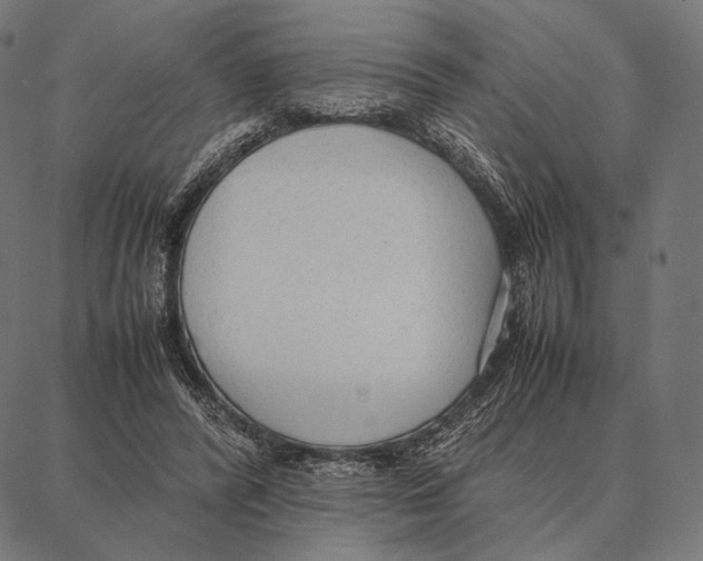 X0000087360400200705181157