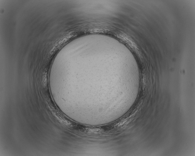 X0000087360401200705181156