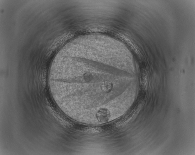 X0000087360402200705181156