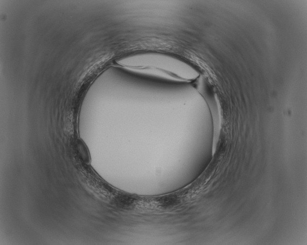 X0000087360403200705181156