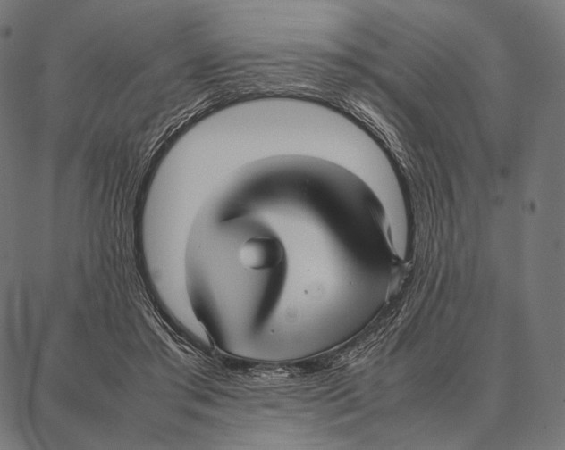 X0000087360405200705181156