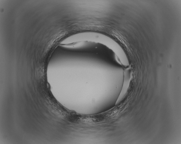 X0000087360407200705181156