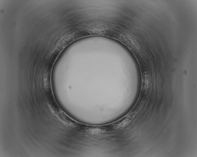 X0000087360408200705181156