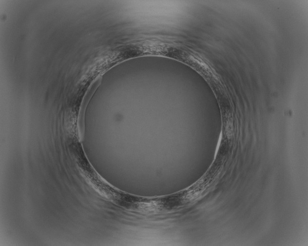 X0000087360411200705181156