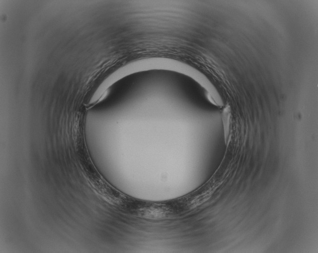 X0000087360412200705181156