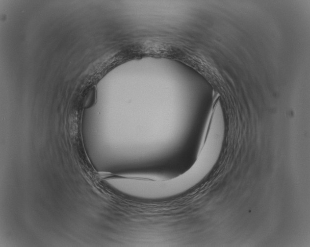 X0000087360413200705181156