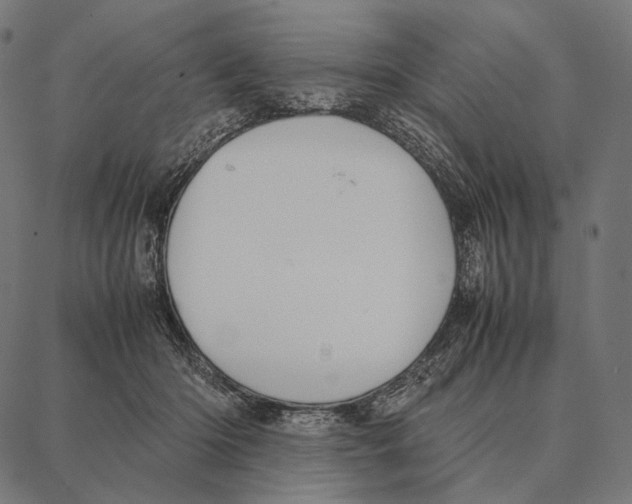 X0000087360414200705181156